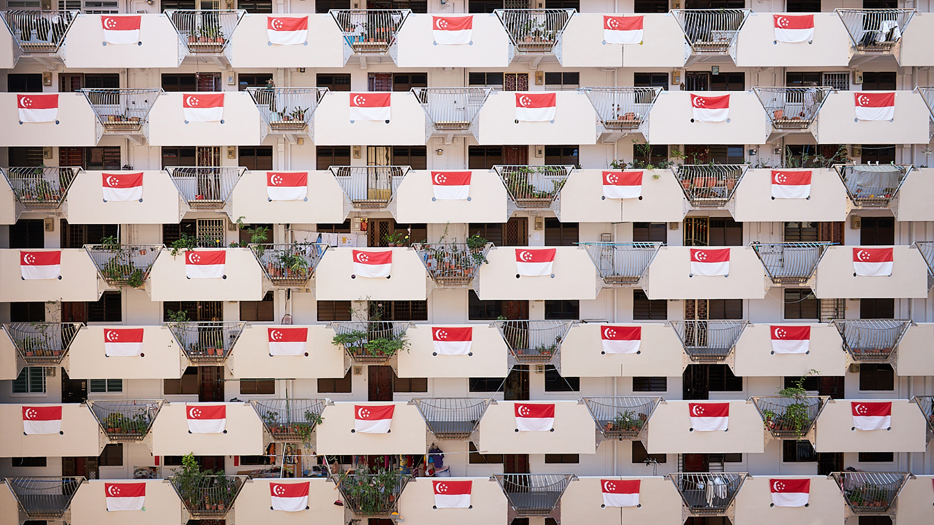 SG United: Singaporeans celebrating National Day by hanging the Singapore flags at HDB residential buldings.