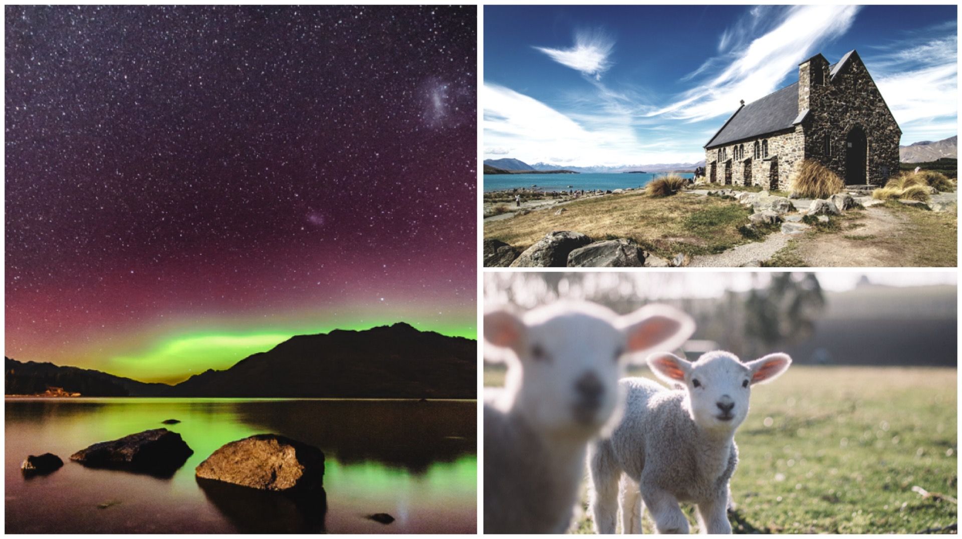 Can't Travel? Live Vicariously Lor: New Zealand Edition