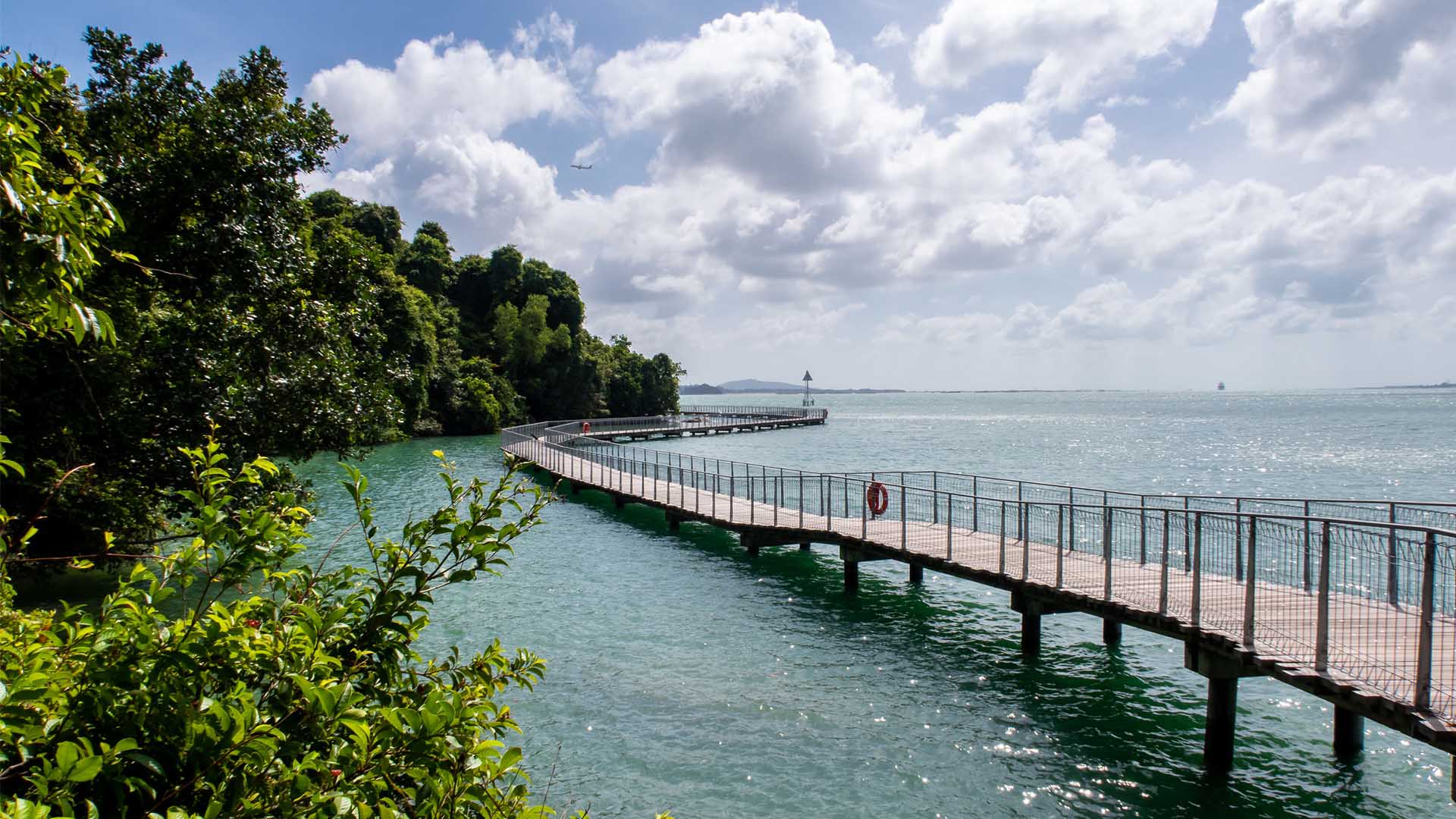 Tired Of Nagging Your Kids About Plastic Bags And Straws? Start Here Instead