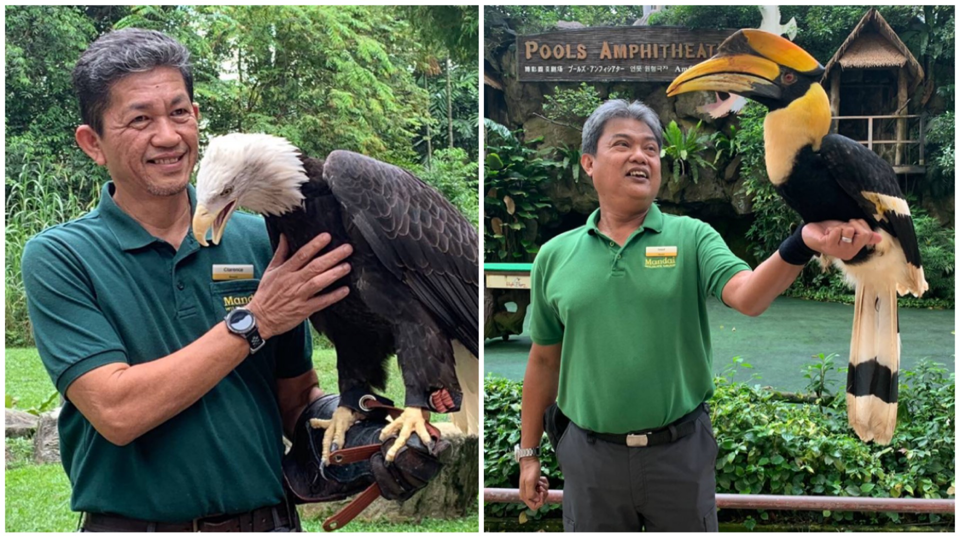 The Careers Of These Lao Jiao Took Flight At Jurong Bird Park
