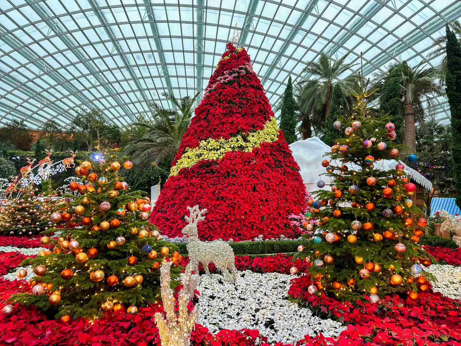 Seasons of Bloom at Gardens by the Bay.