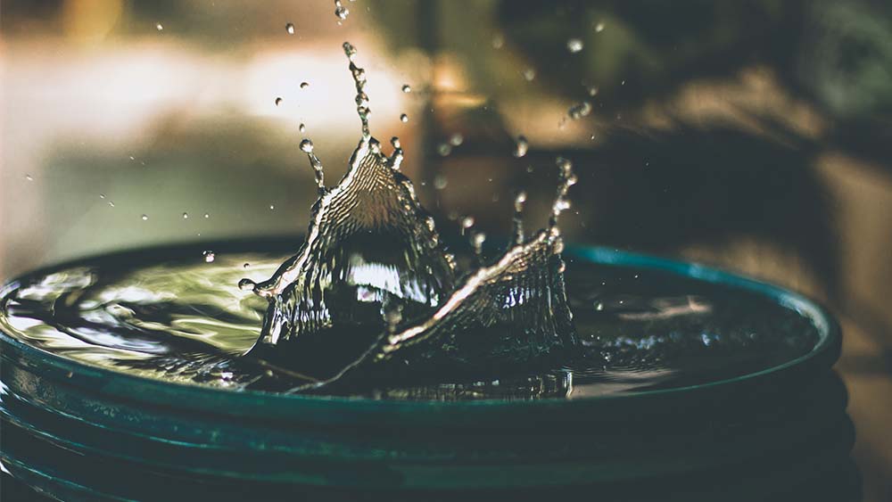 Wallet-Friendly Water Savings: 6 Practical Methods To Trim Bills.